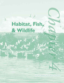 Chapter Four: Habitat, Fish, and Wildlife Action Plan