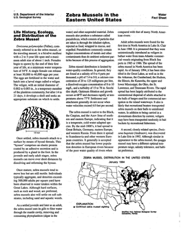 Zebra Mussels in the Eastern United States