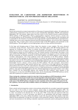 Evolution of Carotenoid and Isoprenoid Biosynthesis in Photosynthetic and Non-Photosynthetic Organisms