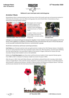 Iceberger News 11Th November 2020 Armistice Tribute