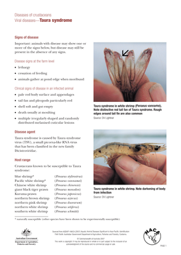 Diseases of Crustaceans Viral Diseases—Taura Syndrome