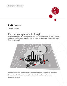 Flavour Compounds in Fungi