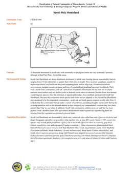 Scrub Oak Shrubland