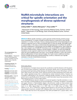 Numa-Microtubule Interactions Are Critical for Spindle Orientation And