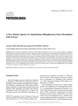 A New Marine Species of Amphidinium (Dinophyceae) from Thermaikos Gulf, Greece