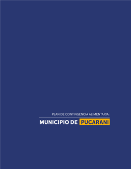 Municipio De Pucarani