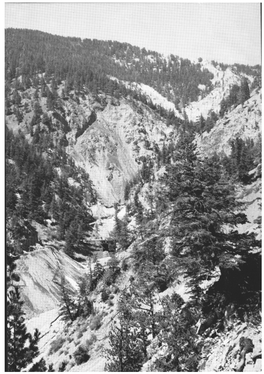 Geology of the Questa Molybdenum (Moly) Mine Area, Taos County, New Mexico