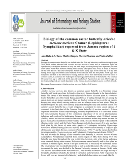 Biology of the Common Castor Butterfly Ariadne Merione Merione Cramer