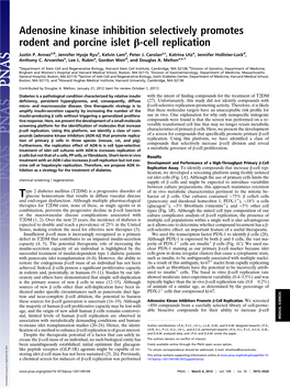 Adenosine Kinase Inhibition Selectively Promotes Rodent and Porcine Islet Β-Cell Replication