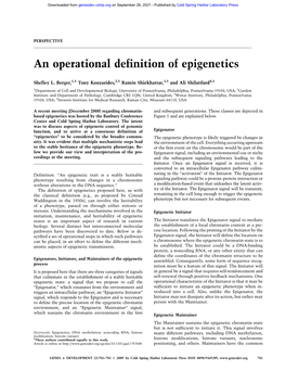 An Operational Definition of Epigenetics