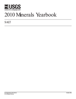 2010 Minerals Yearbook