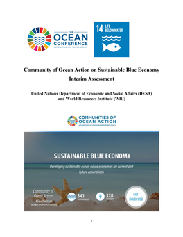 Community of Ocean Action on Sustainable Blue Economy Interim Assessment