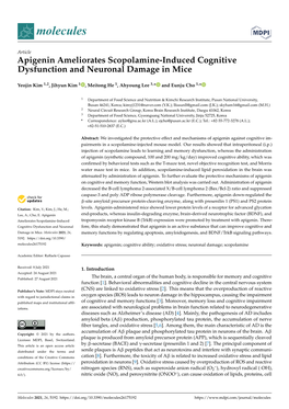 Apigenin Ameliorates Scopolamine-Induced Cognitive Dysfunction and Neuronal Damage in Mice