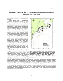 COMMON MINKE WHALE (Balaenoptera Acutorostrata Acutorostrata): Canadian East Coast Stock