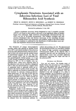 Cytoplasmic Structures Associated with an Arbovirus Infection: Loci of Viral Ribonucleic Acid Synthesis PHILIP M