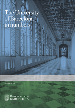 The University of Barcelona in Numbers