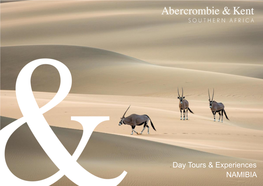 Day Tours & Experiences NAMIBIA