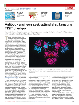 Antibody Engineers Seek Optimal Drug Targeting TIGIT Checkpoint
