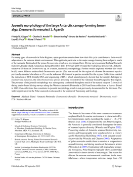 Juvenile Morphology of the Large Antarctic Canopy-Forming Brown