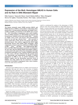 Expression of the Mutl Homologue Hmlh3 in Human Cells and Its Role in DNA Mismatch Repair