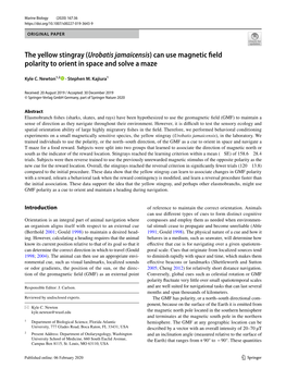 Can Use Magnetic Field Polarity to Orient in Space and Solve a Maze