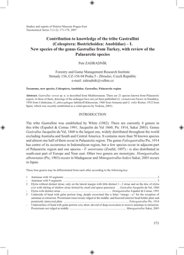 (Coleoptera: Bostrichoidea: Anobiidae) – I. New Species of the Genus Gastrallus from Turkey, with Review of the Palaearctic Species