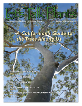 A Californian's Guide to the Trees Among Us