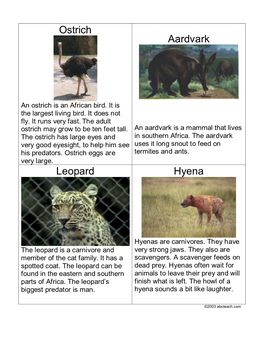 Ostrich Aardvark Leopard Hyena