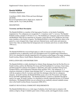 Banded Killifish Fundulus Diaphanous