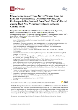 Characterization of Three Novel Viruses from the Families