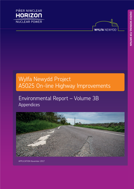 Wylfa Newydd Project A5025 On-Line Highway Improvements