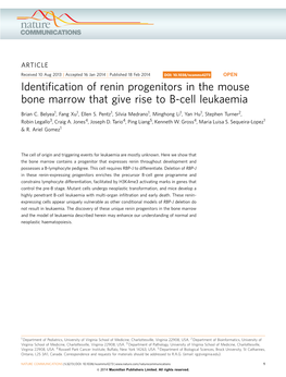 Identification of Renin Progenitors in the Mouse Bone Marrow That Give Rise to B-Cell Leukaemia