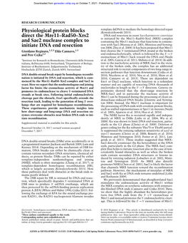 Physiological Protein Blocks Direct the Mre11–Rad50–Xrs2 and Sae2