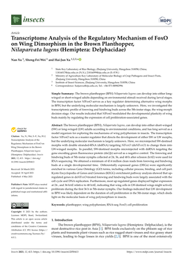 Transcriptome Analysis of the Regulatory Mechanism of Foxo on Wing Dimorphism in the Brown Planthopper, Nilaparvata Lugens (Hemiptera: Delphacidae)