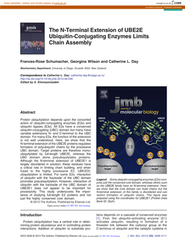 The N-Terminal Extension of UBE2E Ubiquitin-Conjugating Enzymes Limits Chain Assembly