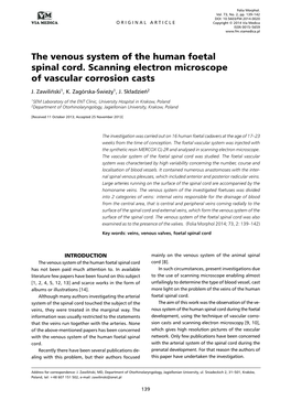 The Venous System of the Human Foetal Spinal Cord. Scanning Electron Microscope of Vascular Corrosion Casts J