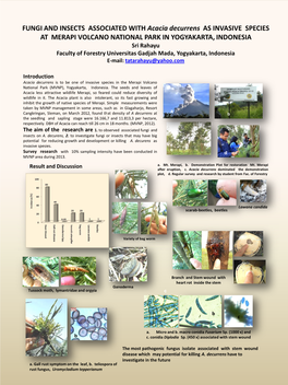 FUNGI and INSECTS ASSOCIATED with Acacia Decurrens AS