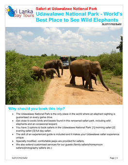 Udawalawe National Park Udawalawe National Park - World's Best Place to See Wild Elephants SLDT/1702/Sa02