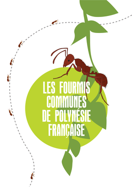 Les Fourmis Communes De Polynésie Française (Livret, 32.P)