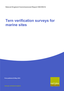 Tern Verification Surveys for Marine Sites