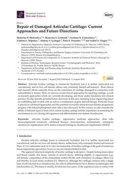 Repair of Damaged Articular Cartilage: Current Approaches and Future Directions