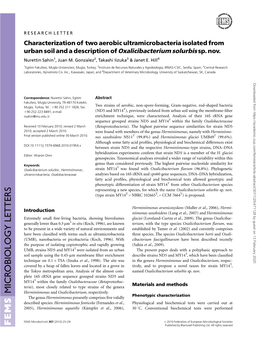 Characterization of Two Aerobic Ultramicrobacteria Isolated from Urban Soil and a Description of Oxalicibacterium Solurbis Sp