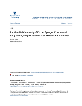 The Microbial Community of Kitchen Sponges: Experimental Study Investigating Bacterial Number, Resistance and Transfer