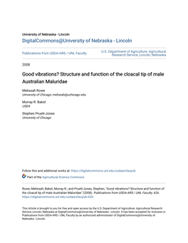 Structure and Function of the Cloacal Tip of Male Australian Maluridae