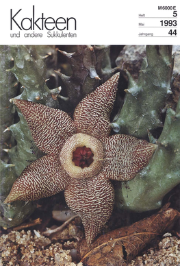 Geohintonia Mexicana Und Aztekium Hintonii 92/95