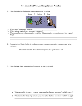 Food Chains, Food Webs, and Energy Pyramid Worksheet