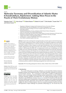 Molecular Taxonomy and Diversification of Atlantic Skates