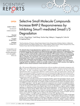 Selective Small Molecule Compounds Increase BMP-2 Responsiveness