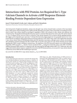 Interactions with PDZ Proteins Are Required for L-Type Calcium Channels to Activate Camp Response Element- Binding Protein-Dependent Gene Expression