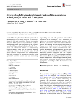 Structural and Ultrastructural Characterization of the Spermatozoa in Pachycondyla Striata and P